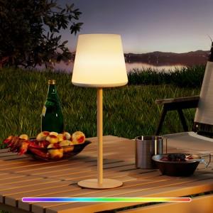 sailsco Lampara de Mesa Inalambrica de USB Recargable Porta…