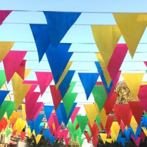80 Metros,150 Banderines Fiesta Multicolor, tamaño 16x25 cm…