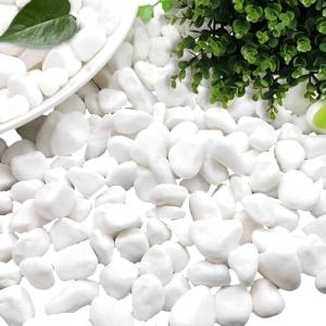 dellyy Decorativas Grava Blanca, 500g, Pequeñas Grava Blanc…