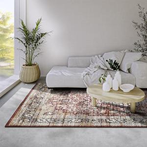 Freundin Home Collection Aurora – Alfombra clásica Oriental…