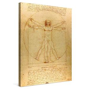 PICANOVA – Leonardo da Vinci – Vitruvian Man 30x40cm – Cuad…