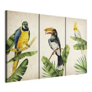 murando - Cuadro en Lienzo tropical Pájaros 135x90 cm Impre…