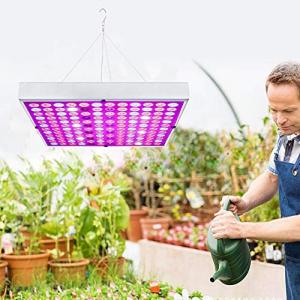 ele ELEOPTION LED Cultivo Lámpara de Plantas Espectro Compl…