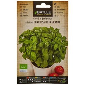 Semillas Batlle Albahaca Genovesa hoja grande – ECO