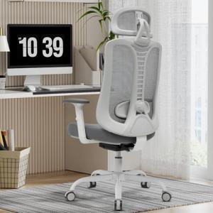 Magic Life Silla de Oficina ergonómica, Silla de Escritorio…