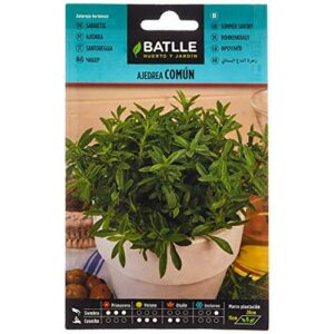 Semillas Batlle Ajedrea común, semillas para plantar