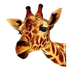 perfk Cabezas de Animales, Escultura de Metal, figurita, co…