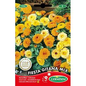 Germisem Fiesta Gitana Mix Semillas de Caléndula 1.25 g (EC…