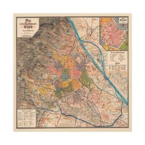 BFTIUTG Póster de mapa de Viena de 1895 para decoración de…
