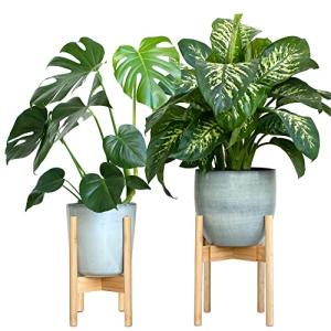 Gadgy Soporte Plantas Interior y Exterior | Juego de 2 Sopo…