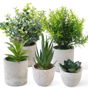 5 Piezas Plantas Artificiales Decorativas Pequeñas, Planta…