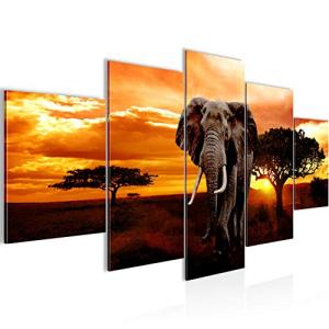 Runa Art - Cuadros Decorativos África Elefante 200 x 100 cm…
