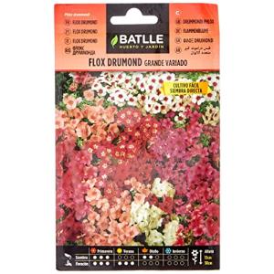 Semillas Batlle Flox drumond GRANDE variado