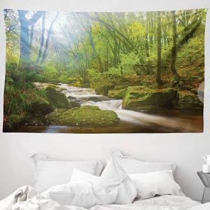 ABAKUHAUS Bosque Tapiz de Pared y Cubrecama Suave, Paisaje…