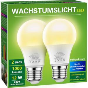 Briignite Die Glühbirne leuchtet. Eine Pflanzenlampe Pflanz…