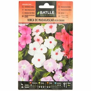 Semillas Batlle Vinca de Madagascar roja enana