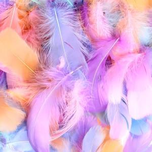 Hmkesoteric 600 Pcs Plumas Manualidades, Plumas Decoracion,…