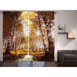 ABAKUHAUS Árbol Cortinas, Hojas del Abedul del río árboles,…