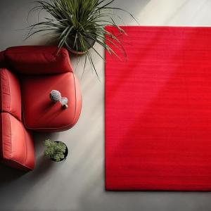 HomebyHome Alfombra de salón, 160 x 230 cm, color rojo, lav…