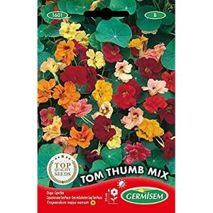 Germisem Tom Thumb Mix Semillas de Nasturtium 5 g