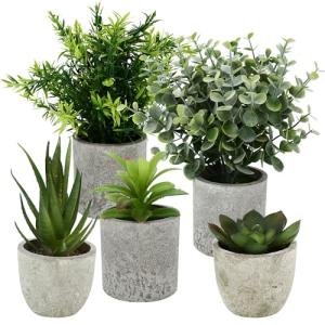 ZHYLUO 5 Piezas Plantas Decorativas, Mini Macetas Artificia…