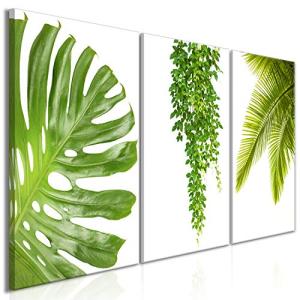 murando - Cuadro en Lienzo Tropical Hojas Monstera 120x60-3…