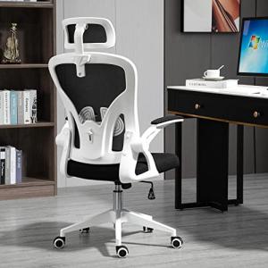 Ahua Silla de Oficina ergonómica de Malla, Soporte Lumbar c…