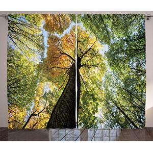 ABAKUHAUS Árbol Cortinas, Bosque de otoño Crecimiento Eco,…