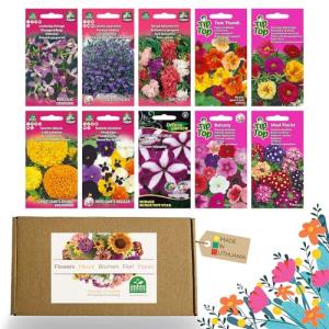 Nojus - Juego de semillas de flores - Semillas de flores de…