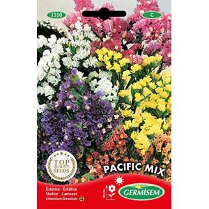 Germisem Pacific Mix Semillas de Statice 0.5 g (EC1550)