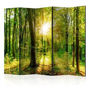 murando Biombo Bosque 225x172 cm de Impresion Bilateral en…