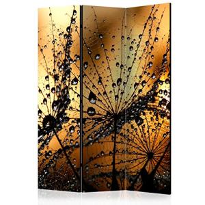 murando Biombo 135x172 cm de Impresion Unilateral en el Lie…