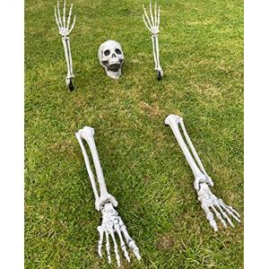 Decoración de Esqueleto para Halloween - Esqueleto de plást…