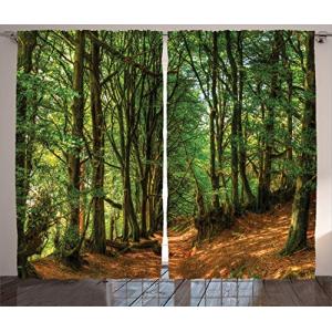 ABAKUHAUS Bosque Cortinas, Woodland Escena Camino, Sala de…