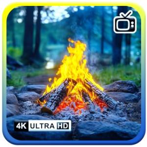 Salvapantallas Campfire Chill con efecto de sonidos de foga…