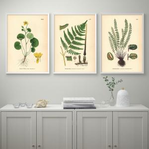 IKEA - lámina, helecho y flor, 50x70 cm helecho y flor