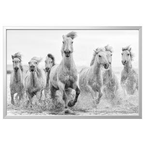 IKEA - cuadro con marco, caballos en la orillacolor de alum…