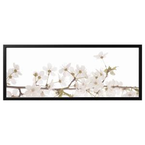 IKEA - cuadro con marco, flores blancasnegro, 140x56 cm neg…