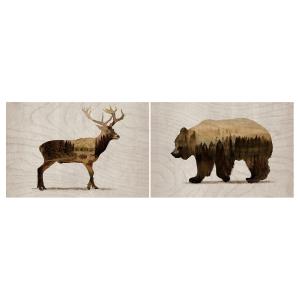 IKEA - lámina, juego de 2, animales salvajes II, 30x20 cm a…