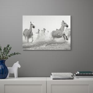 IKEA - cuadro, caballos galopando, 70x50 cm caballos galopa…