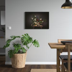 IKEA - cuadro, flores contra pared negra, 70x50 cm flores c…