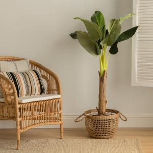 Bananero planta artificial 135 cm