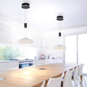 Q-Smart-Home Paul Neuhaus Q-ETIENNE colgante LED 1 luz, neg…