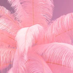 KARE Feather Palm lámpara de pie con plumas, rosa