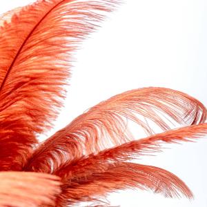 KARE Feather Palm lámpara mesa plumas, rojo óxido