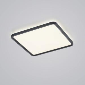 Helestra Vesp panel LED backlight 61x61cm negro