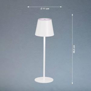 FH Lighting Lámpara de mesa LED recargable Viletto, blanca,…