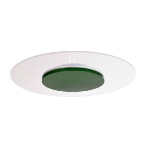Deko-Light Zaniah Plafón LED, luz 360°, 24W, verde