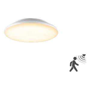 EVN Catino lámpara de techo LED con sensor, 25 cm