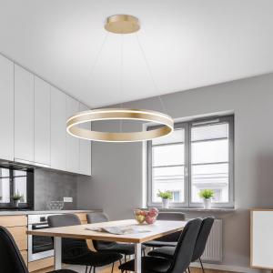 Q-Smart-Home Paul Neuhaus Q-VITO lámpara colgante LED, 1 an…